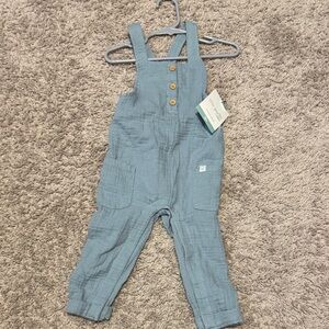 18 month little planet Overalls